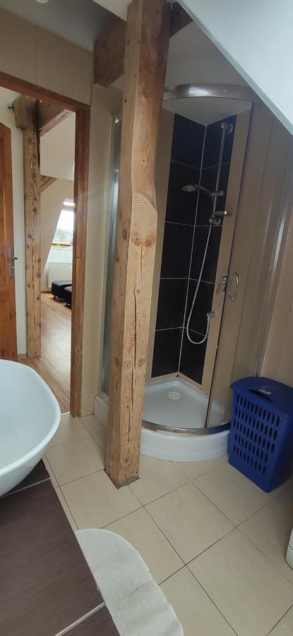 Apartament Gliwice Centrum Екстериор снимка